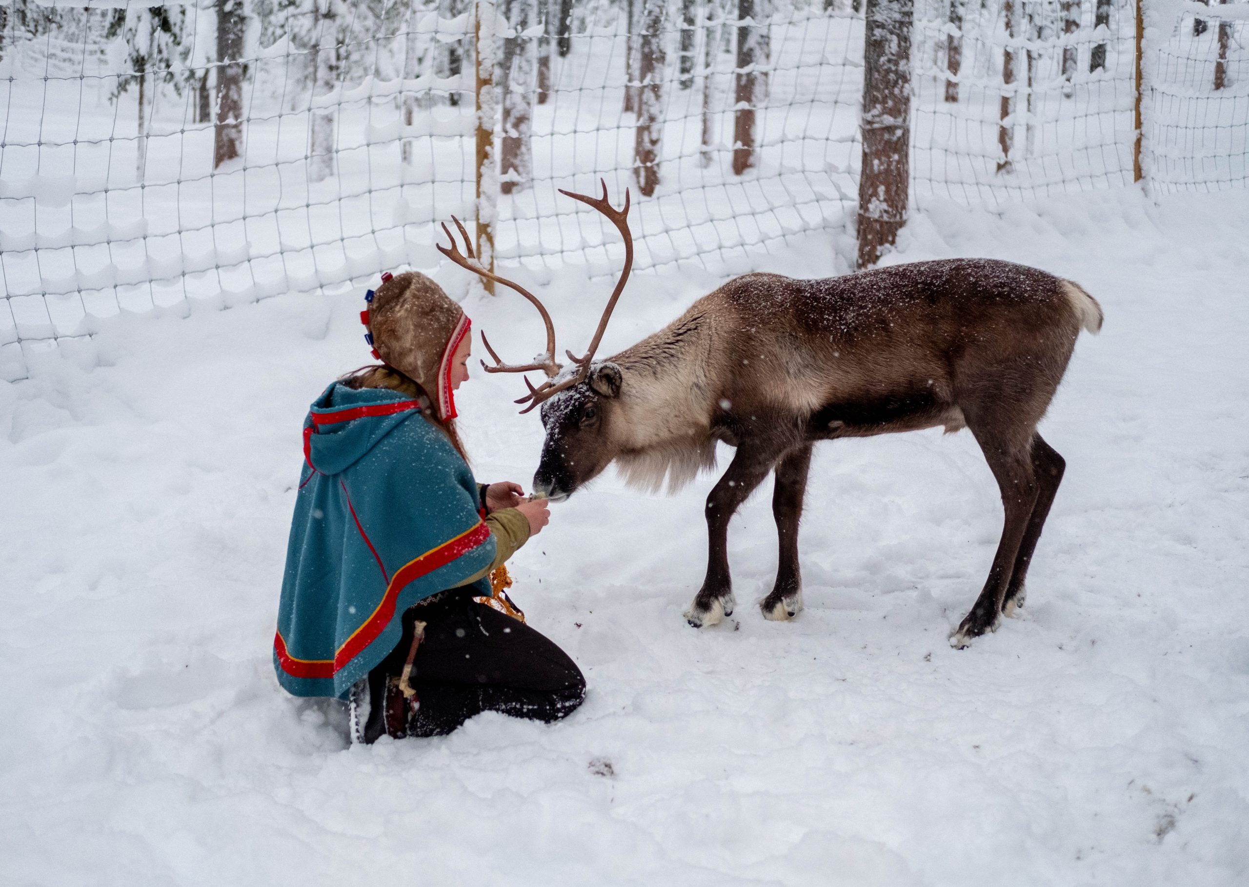 Girl and Reindeer