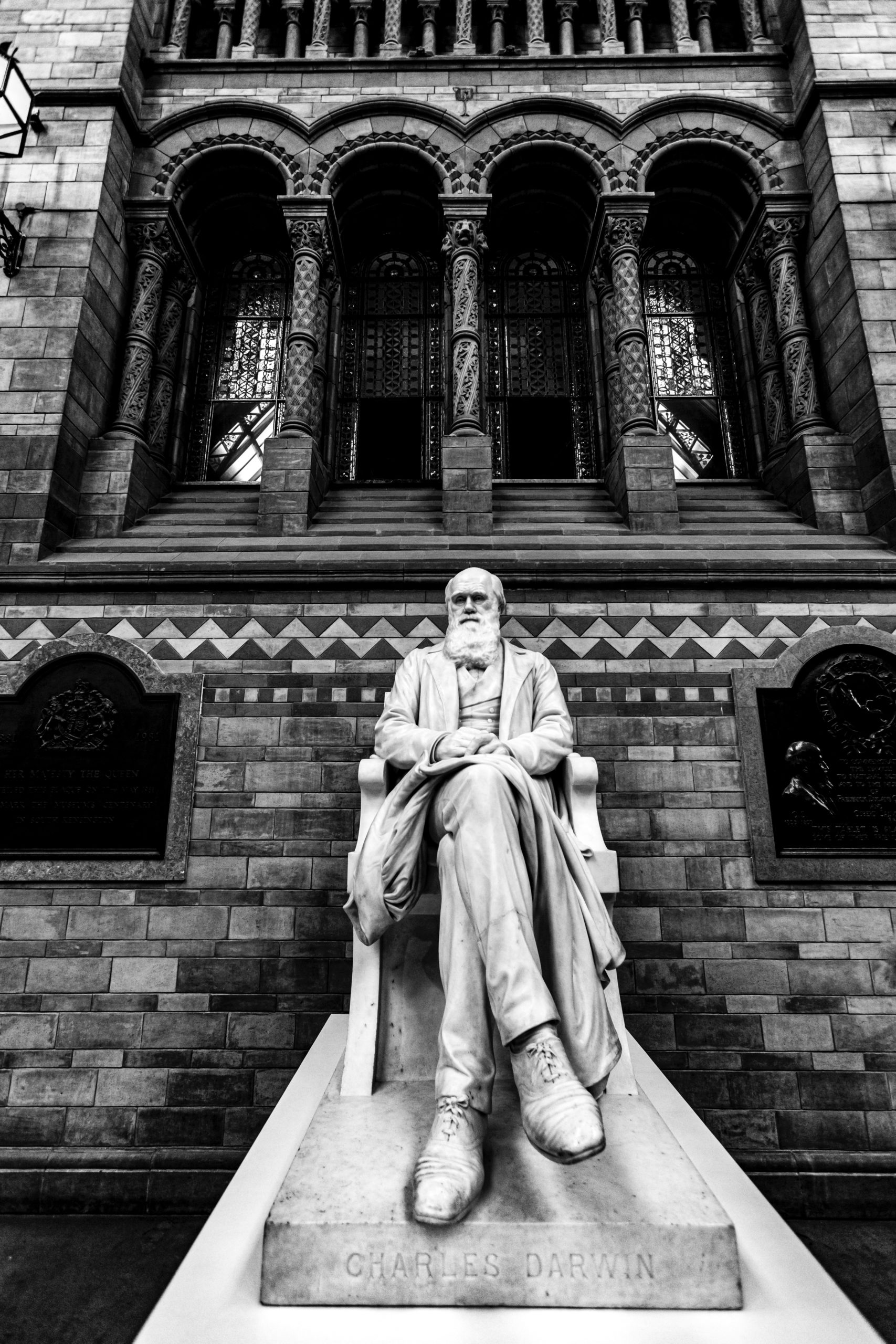 Charles Darwin Sculpture